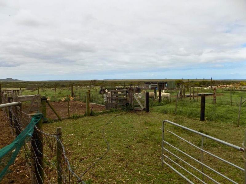 4 Bedroom Property for Sale in Mossel Bay Rural Western Cape